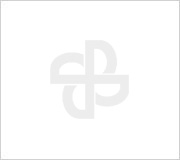 2024年CQ9传奇电子电气温室气体排放核查报告