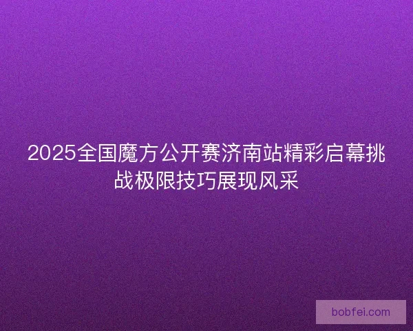 2025全国魔方公开赛济南站精彩启幕挑战极限技巧展现风采