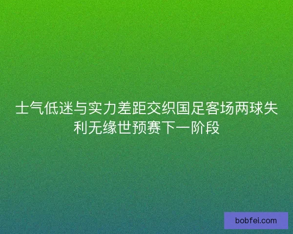 士气低迷与实力差距交织国足客场两球失利无缘世预赛下一阶段
