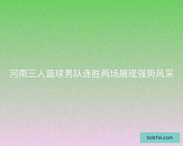 河南三人篮球男队连胜两场展现强势风采