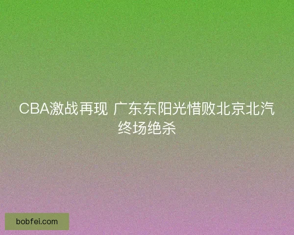 CBA激战再现 广东东阳光惜败北京北汽终场绝杀