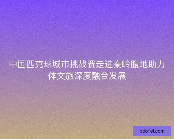 中国匹克球城市挑战赛走进秦岭腹地助力体文旅深度融合发展