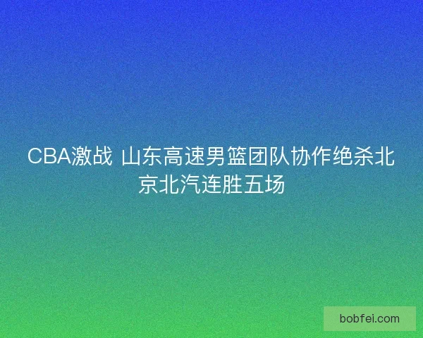 CBA激战 山东高速男篮团队协作绝杀北京北汽连胜五场 CBA激战 山东高速男篮团队协作绝杀北京北汽连胜五场