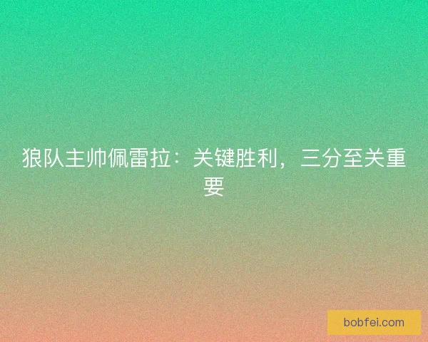 狼队主帅佩雷拉：关键胜利，三分至关重要